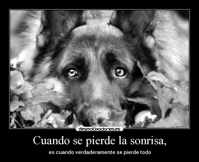Cuando se pierde la sonrisa, - es cuando verdaderamente se pierde todo
