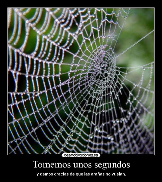 Tomemos unos segundos - 