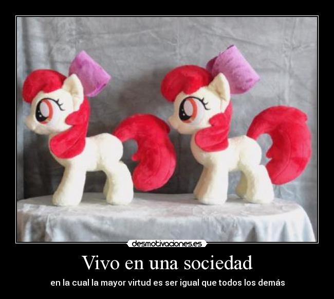 Vivo en una sociedad - 