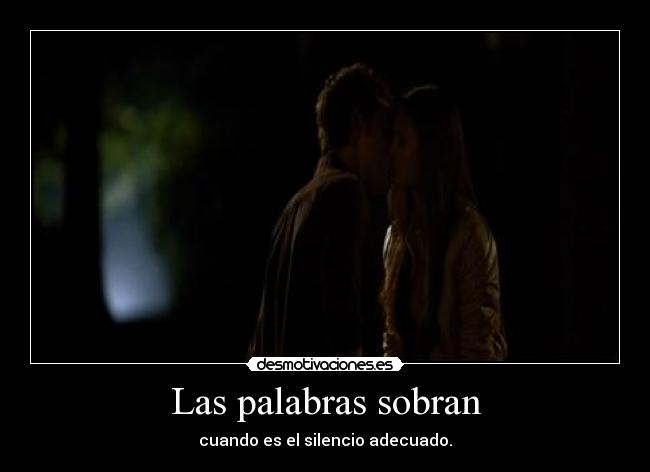 carteles pachusdefresa cronicas vampiricas stefan elena los amo captura pantalla hecha por desmotivaciones