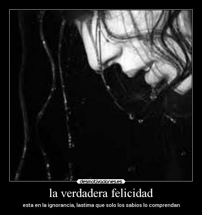 carteles felicidad since28 desmotivaciones