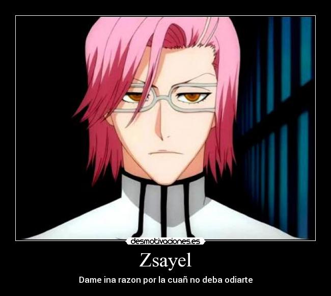 Zsayel - Dame ina razon por la cuañ no deba odiarte