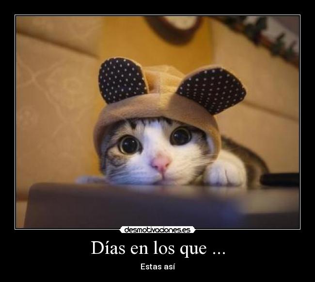 Días en los que ... - 