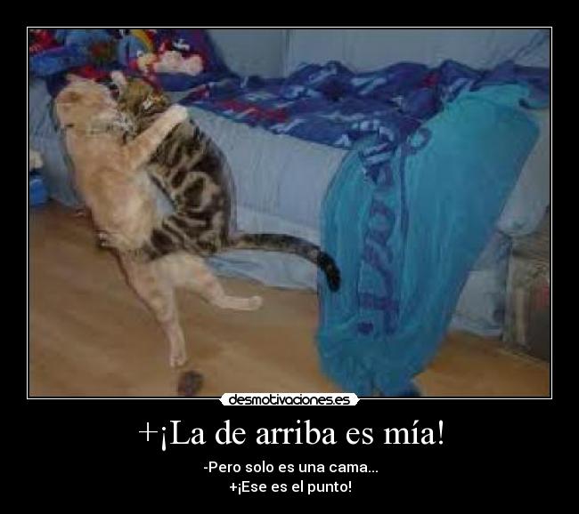 +¡La de arriba es mía! - -Pero solo es una cama...
+¡Ese es el punto!