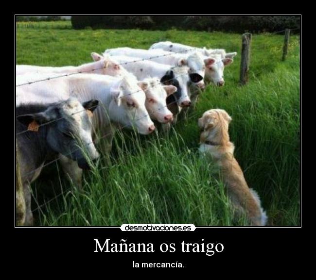 carteles d17pac filopac pacoka fnicopac pitupac desmotivaciones