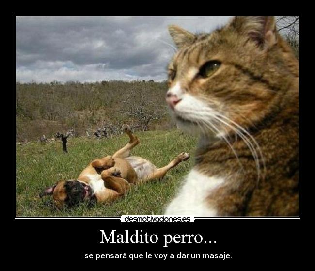 Maldito perro... - 