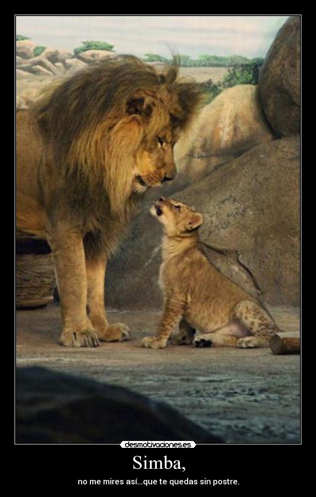 Simba, -