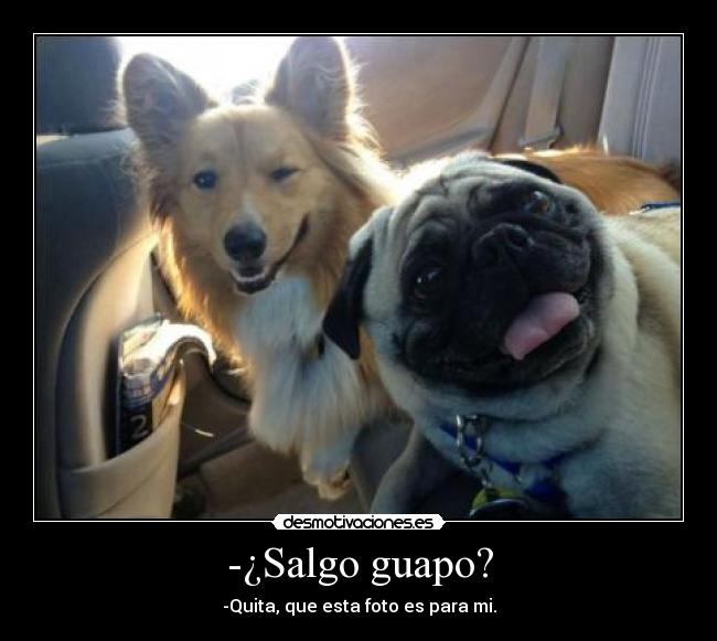 -¿Salgo guapo? - -Quita, que esta foto es para mi.