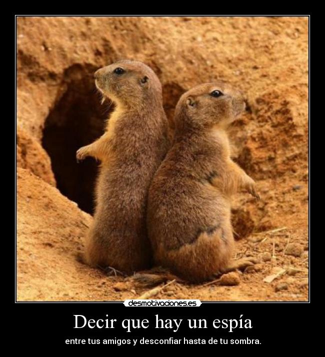 Decir que hay un espía - entre tus amigos y desconfiar hasta de tu sombra.