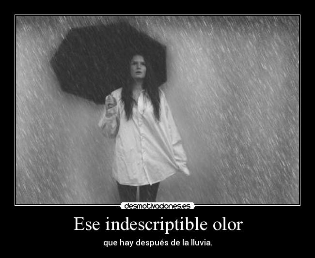 carteles 2desmoconcruso encanta olor lluvia como mini orgasmo desmotivaciones