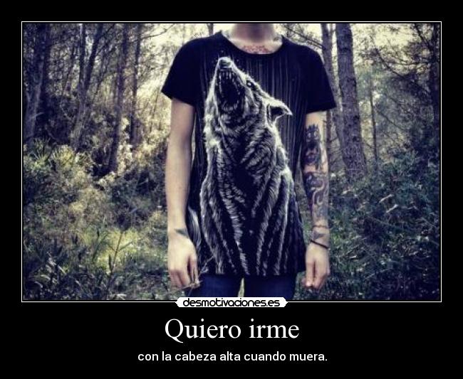 Quiero irme - 