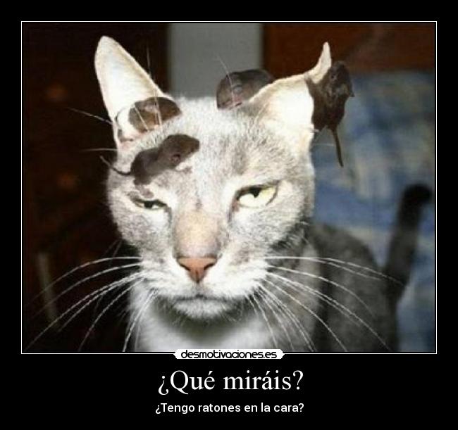 ¿Qué miráis? -