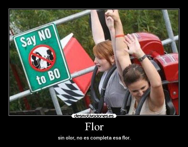 Flor - sin olor, no es completa esa flor.