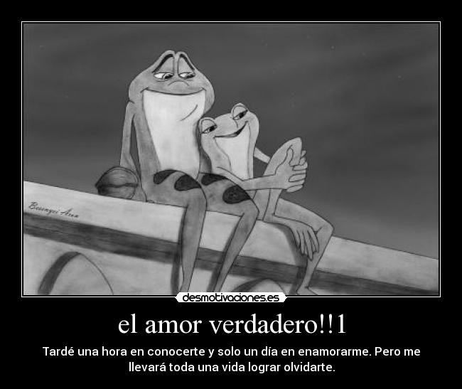 el amor verdadero!!1 - Tardé una hora en conocerte y solo un día en enamorarme. Pero me
llevará toda una vida lograr olvidarte.
