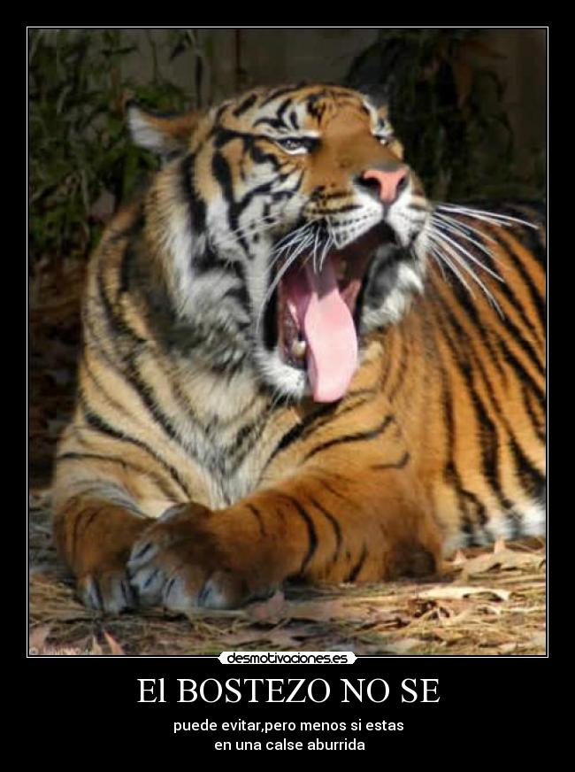 El BOSTEZO NO SE - puede evitar,pero menos si estas
en una calse aburrida