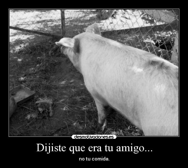 carteles mascotas desmotivaciones