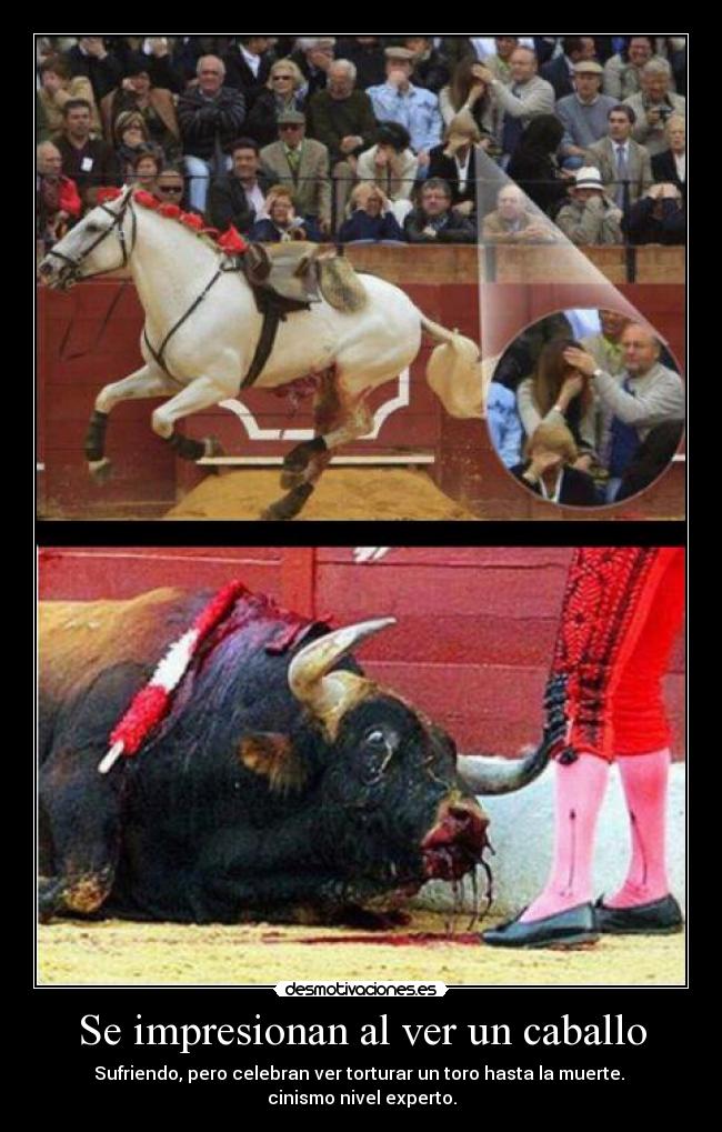 carteles asco sociedad desmotivaciones