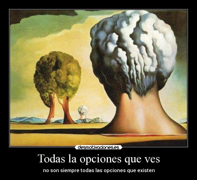 Todas la opciones que ves -