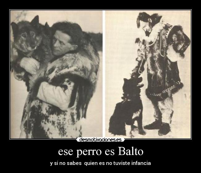 ese perro es Balto - y si no sabes  quien es no tuviste infancia