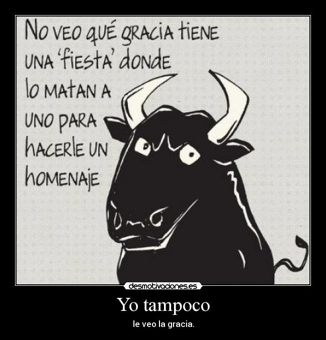 Yo tampoco - le veo la gracia.