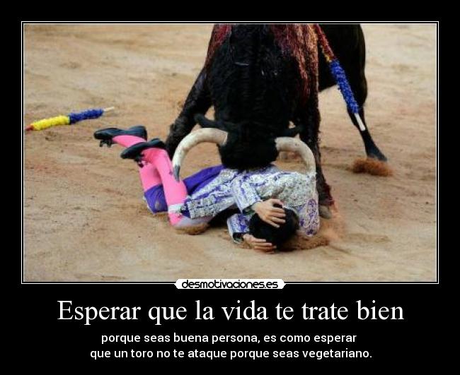 Esperar que la vida te trate bien - porque seas buena persona, es como esperar 
que un toro no te ataque porque seas vegetariano.