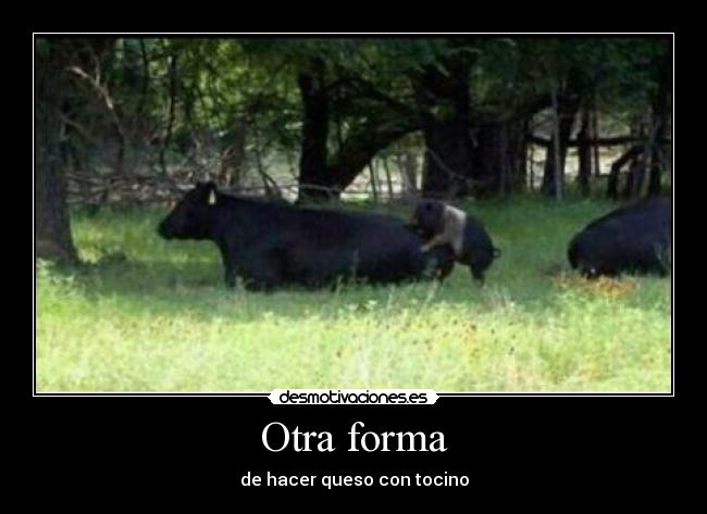 Otra forma -