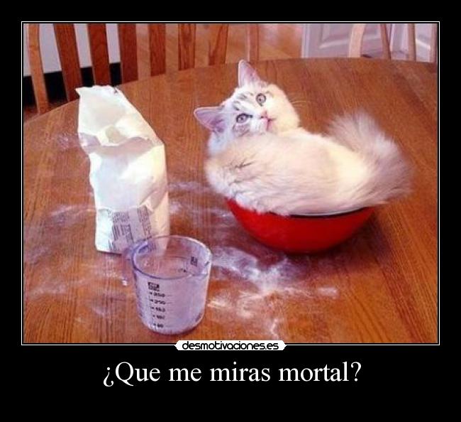 ¿Que me miras mortal? - 