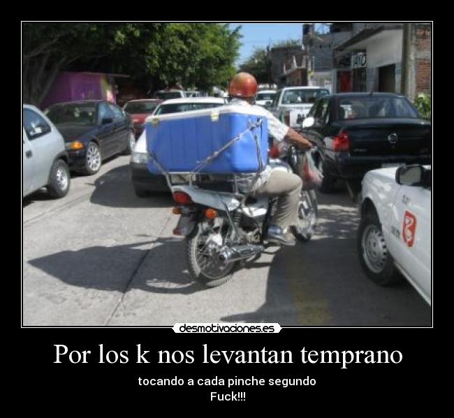 carteles tortilleros desmotivaciones