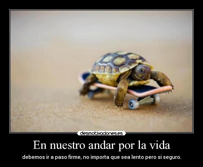 En nuestro andar por la vida - debemos ir a paso firme, no importa que sea lento pero si seguro.