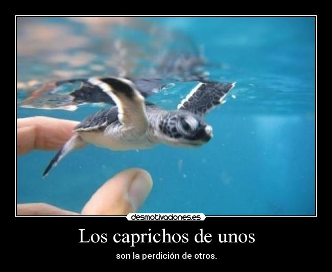 Los caprichos de unos -