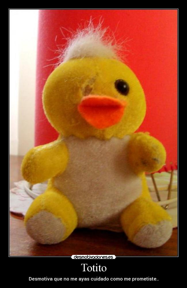 carteles bruno passo desmotivaciones