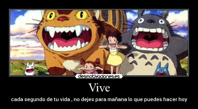 Vive - 
