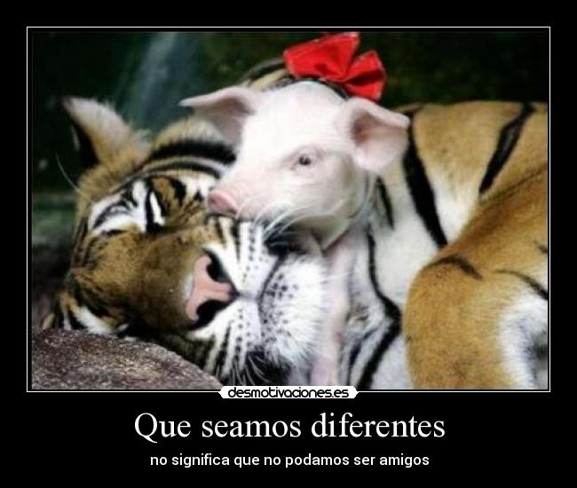 Que seamos diferentes - no significa que no podamos ser amigos