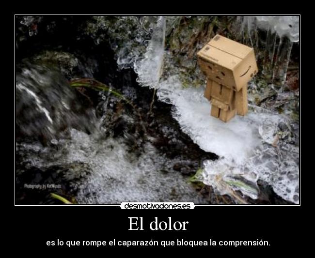 El dolor -