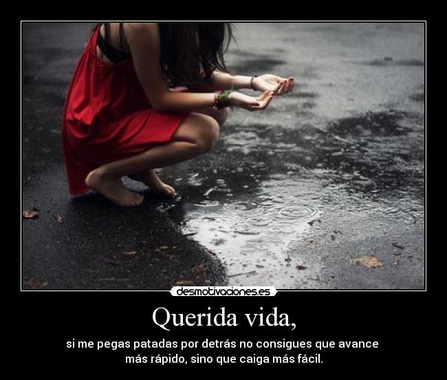 Querida vida, -