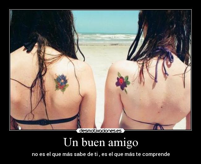 Un buen amigo - no es el que más sabe de ti , es el que más te comprende