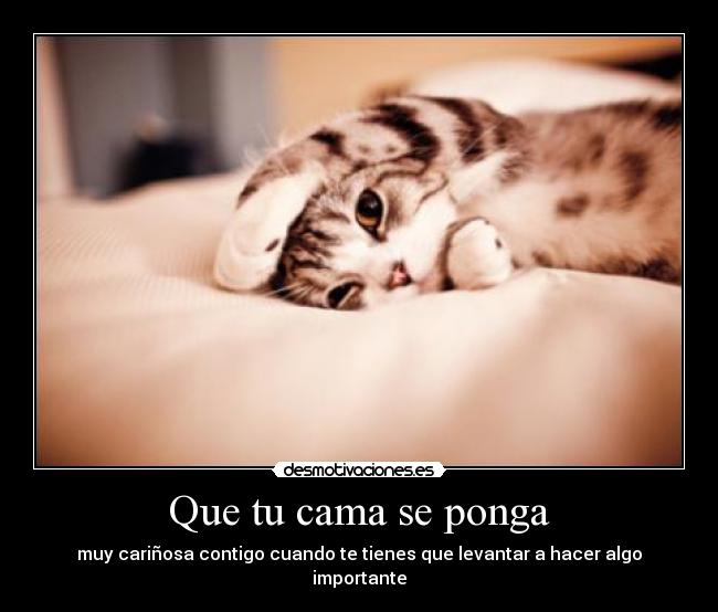 Que tu cama se ponga - 