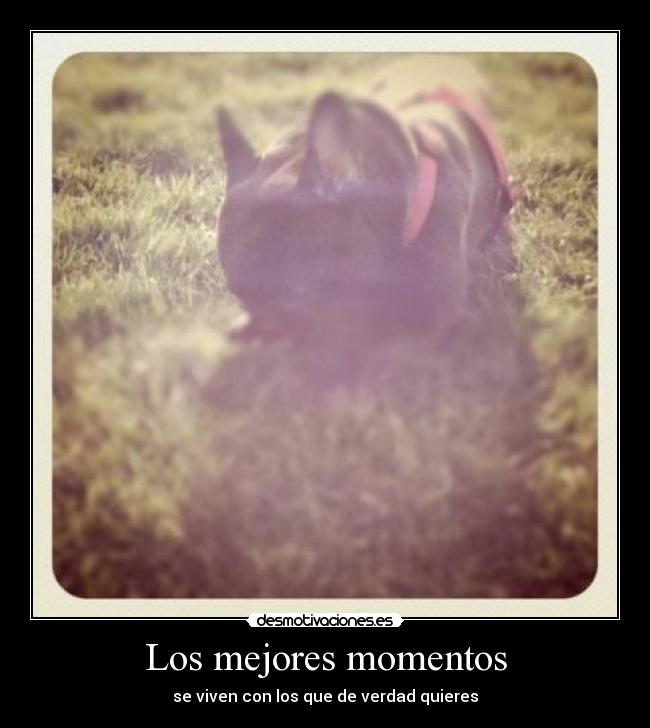 Los mejores momentos - se viven con los que de verdad quieres
