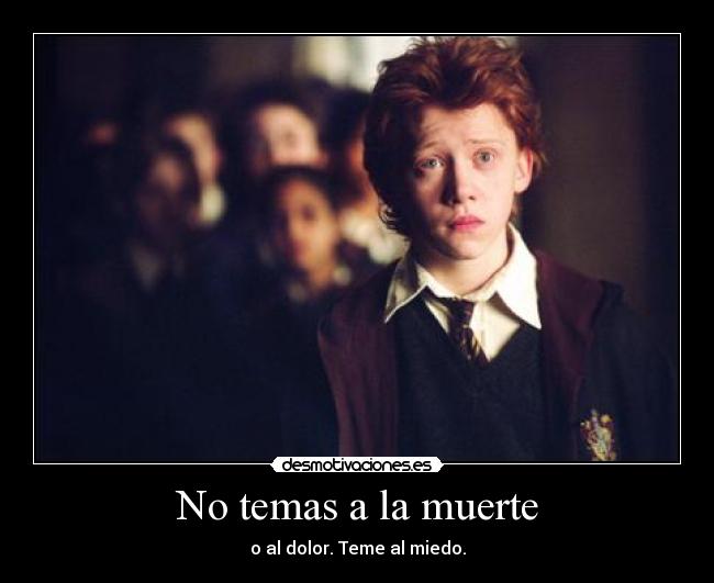 carteles muerte ron weasley harry potter rupert grint miedo desmotivaciones