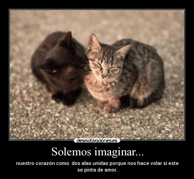 Solemos imaginar... -