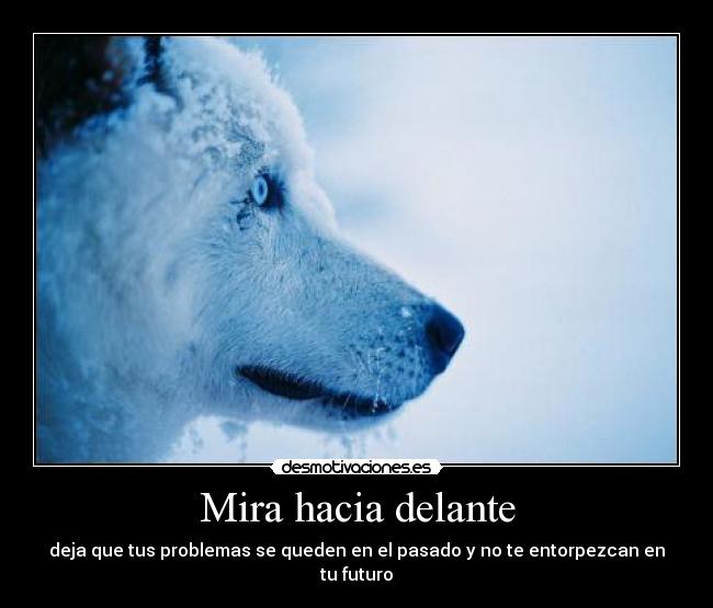 Mira hacia delante - 