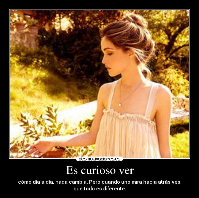 Es curioso ver - cómo día a día, nada cambia. Pero cuando uno mira hacia atrás ves,
que todo es diferente.