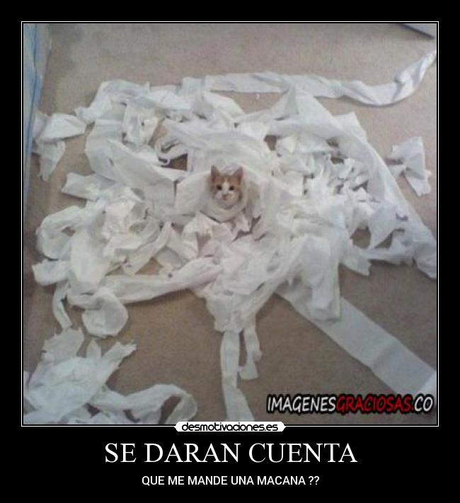 SE DARAN CUENTA - 