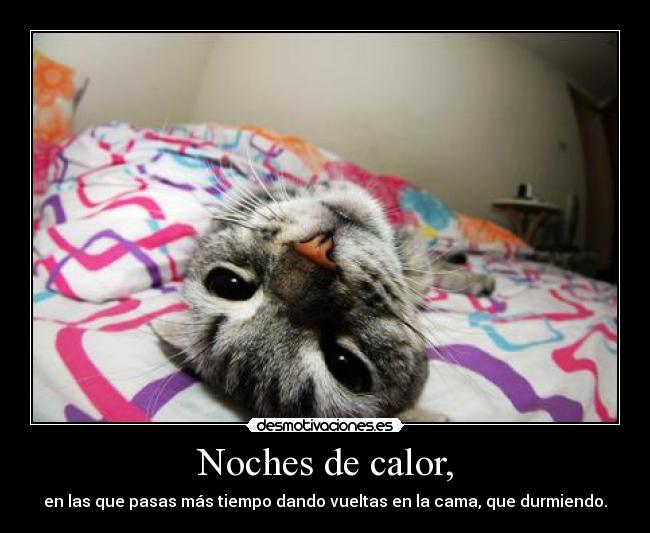 Noches de calor, -