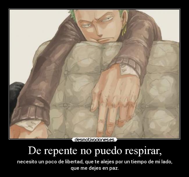 carteles one piece roronoa zoro anime manga autenticos decadentes osito peluche desmotivaciones