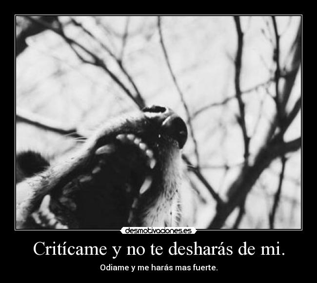 Critícame y no te desharás de mi. -