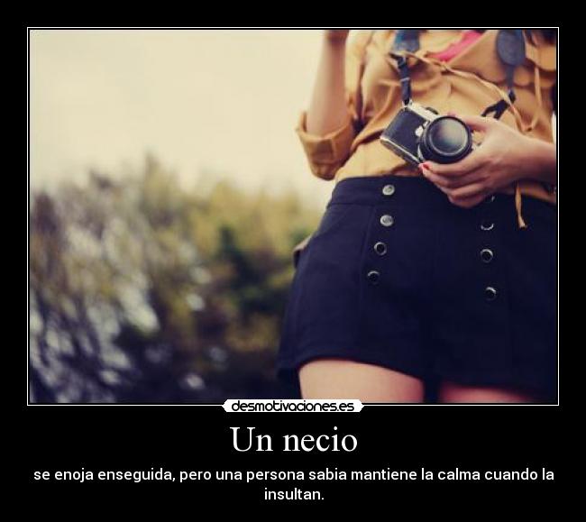 Un necio - se enoja enseguida, pero una persona sabia mantiene la calma cuando la insultan.