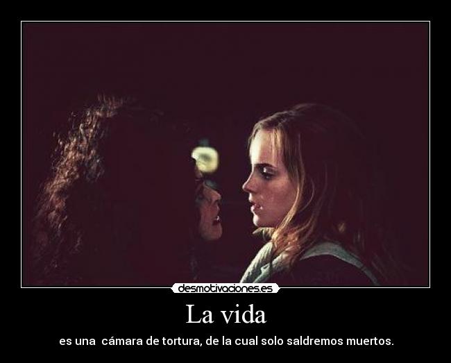 carteles vida lif desmotivaciones