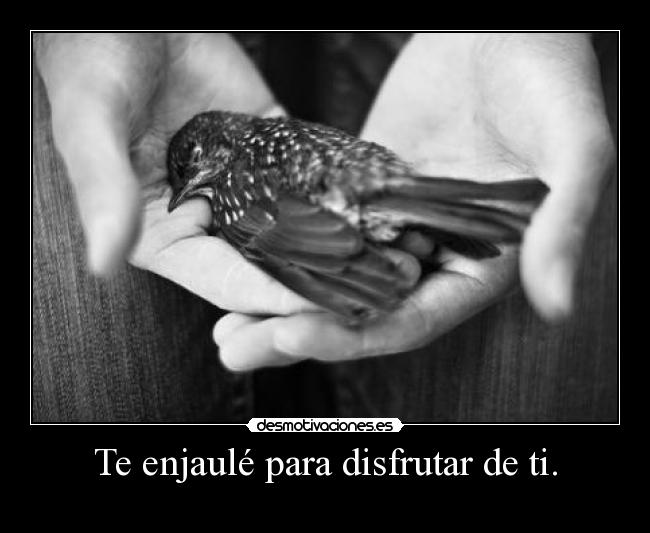 Te enjaulé para disfrutar de ti. - 