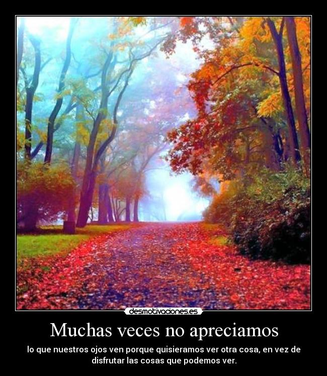 Muchas veces no apreciamos - lo que nuestros ojos ven porque quisieramos ver otra cosa, en vez de
disfrutar las cosas que podemos ver.